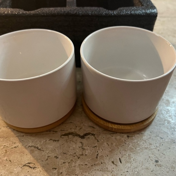 Super Cute and Funny Succulent Planters - Picture 5 of 5